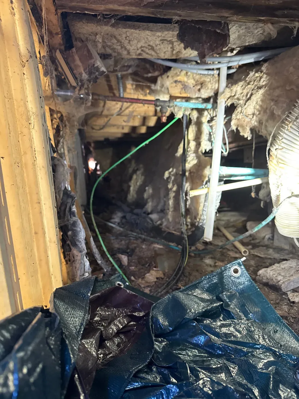 Job photo: capped off hose bib in Pacific Junction